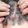 Shampoo Solido | Revitalizante